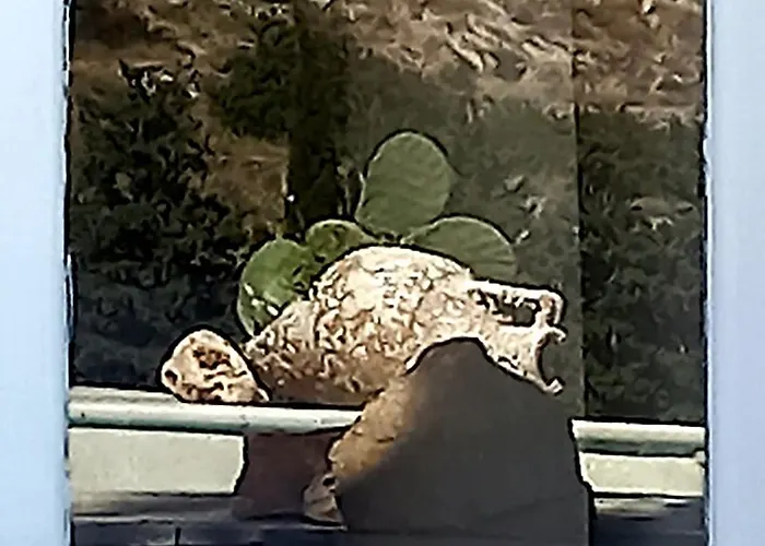 Red Rocks Holiday home *