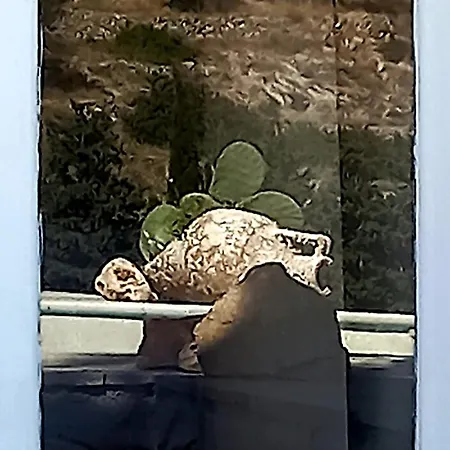 Red Rocks Prázdninový dům *